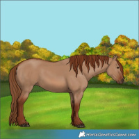 Horse Color:Red Dun 