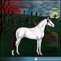 Horse Color:Liver Chestnut Sabino Splash Snowflake Varnish