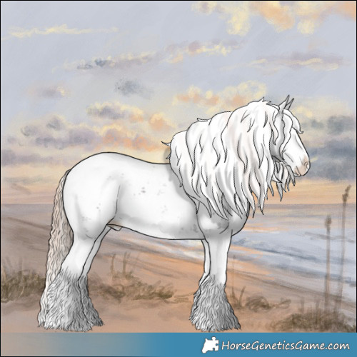 Horse Color:Liver Chestnut Sabino Splash Snowcap 