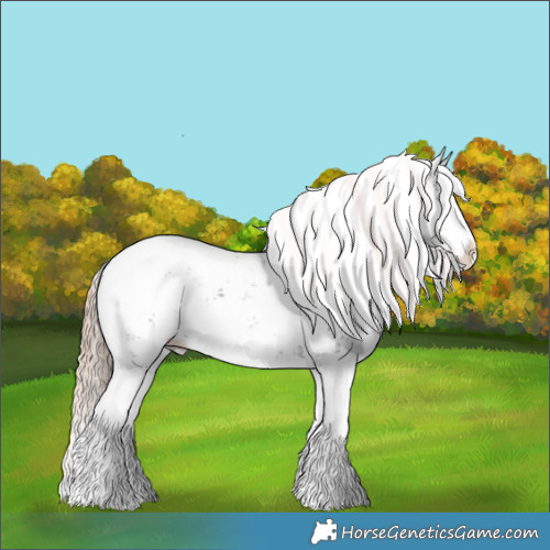 Horse Color:Liver Chestnut Sabino Splash Appaloosa 