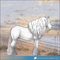 Horse Color:Liver Chestnut Sabino Splash Snowcap 