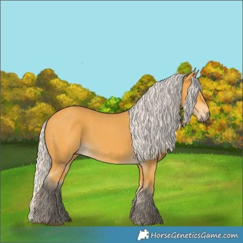 Horse Color:Silver Buckskin