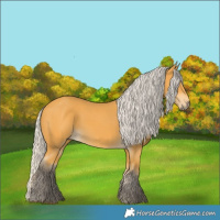 Horse Color:Silver Buckskin 