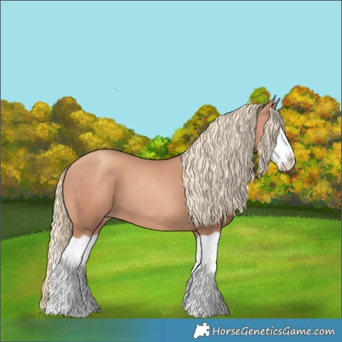 Horse Color:Gold Champagne Splash
