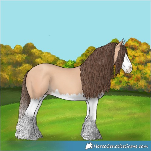 Horse Color:Amber Champagne Splash