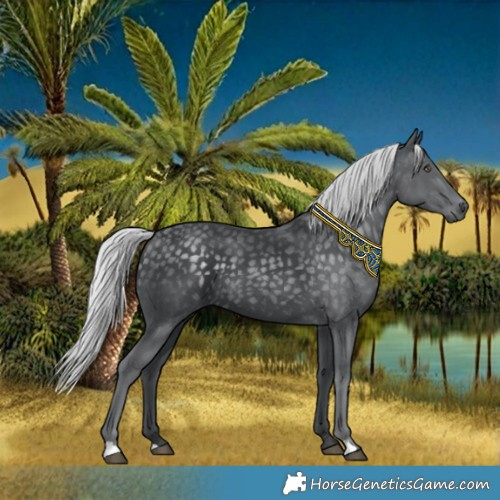 Horse Color:Silver Black Chinchilla
