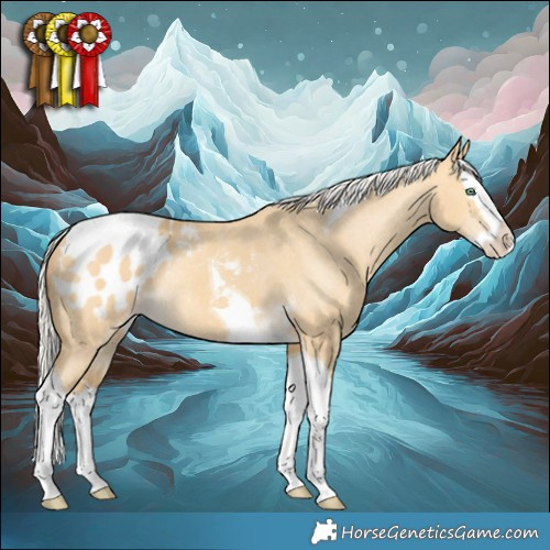Horse Color:Silver Sable Cream Champagne Dun Splash Tobiano Appaloosa Rabicano 