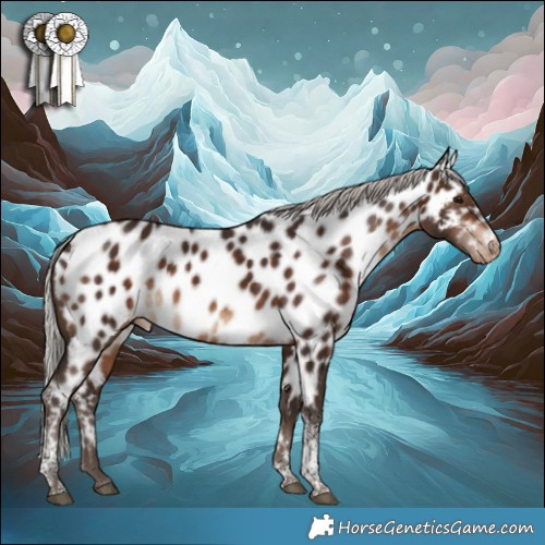 Horse Color:Silver Brown Tobiano Appaloosa Rabicano 
