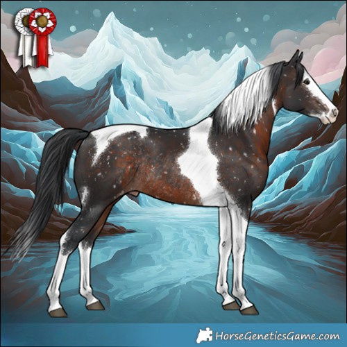 Horse Color:White Spotted Brown Mushroom Splash Tobiano Appaloosa Rabicano