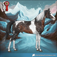 Horse Color:White Spotted Brown Mushroom Splash Tobiano Appaloosa Rabicano 