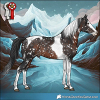 Horse Color:White Spotted Brown Mushroom Splash Tobiano Appaloosa Rabicano