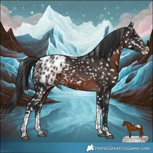 Horse Color:White Spotted Brown Mushroom Splash Tobiano Blanket Rabicano 