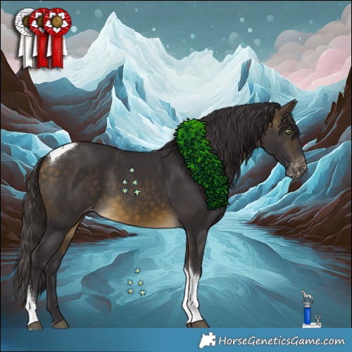 Horse Color:Buckskin Tobiano Appaloosa 