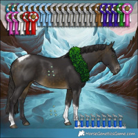 Horse Color:Buckskin Tobiano Varnish 