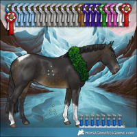 Horse Color:Buckskin Tobiano Varnish 