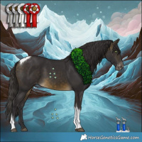 Horse Color:Buckskin Tobiano Appaloosa