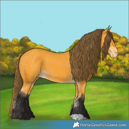 Horse Color:Buckskin Varnish 