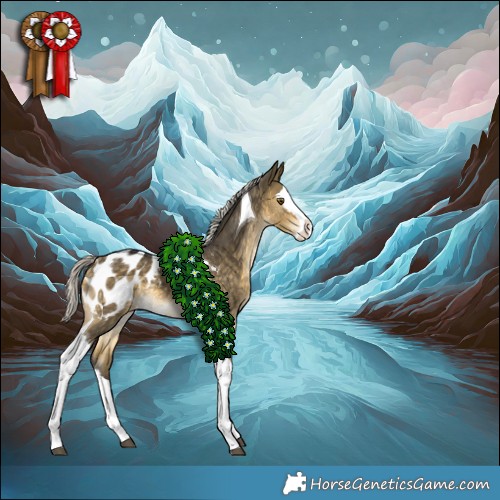 Horse Color:Silver Buckskin Dun Mushroom Splash Tobiano Appaloosa Rabicano