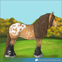 Horse Color:Buckskin Blanket 