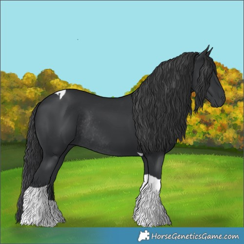 Horse Color:Black Tobiano Rabicano 