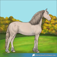 Horse Color:Smoky Creme 