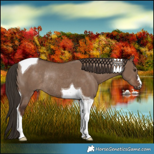Horse Color:Liver Red Dun Tobiano Rabicano 