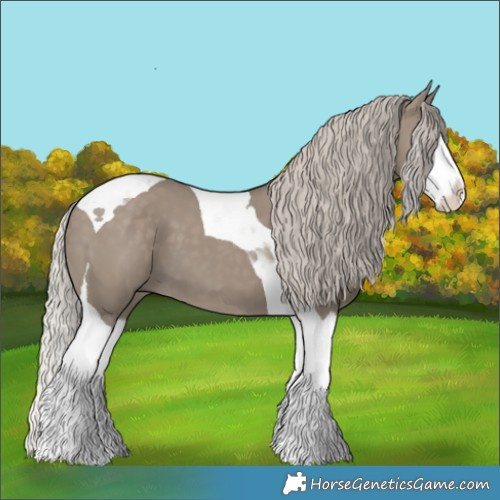 Horse Color:Silver Grullo Splash Tobiano 