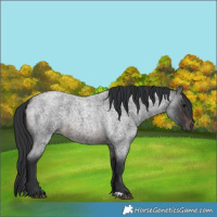 Horse Color:Brown Roan