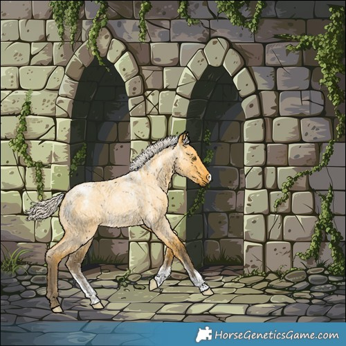 Horse Color:Powder White Silver Buckskin Roan Dun