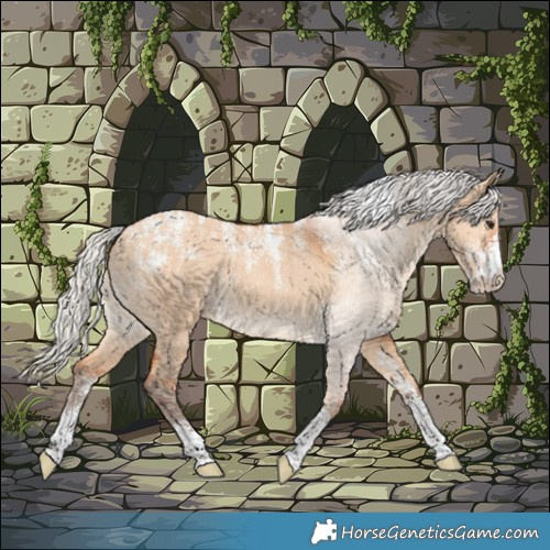Horse Color:Powder White Silver Bay Dun Rabicano 