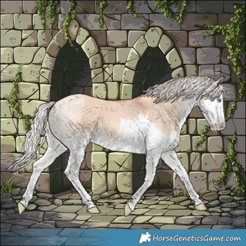 Horse Color:Silver Bay Dun Splash 