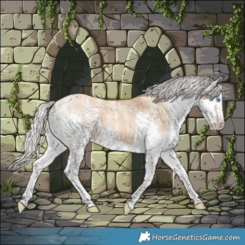 Horse Color:Powder White Silver Bay Dun Splash 