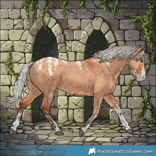 Horse Color:Powder White Silver Bay Dun 