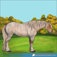 Horse Color:Chocolate Palomino Roan 