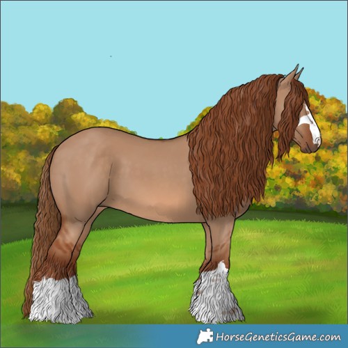 Horse Color:Red Dun 