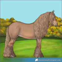 Horse Color:Red Dun 