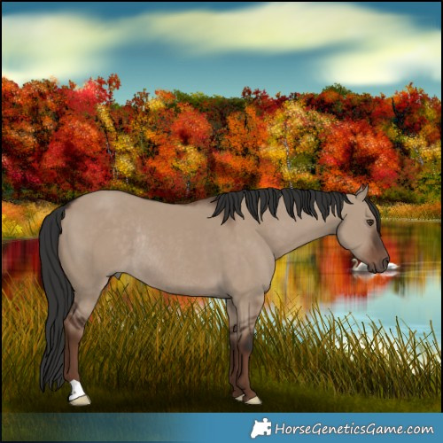 Horse Color:Liver Red Dun Rabicano