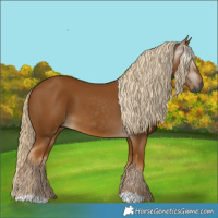 Horse Color:Gray Palomino