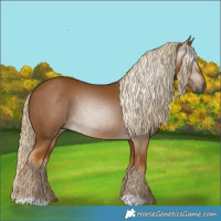 Horse Color:Gray Palomino
