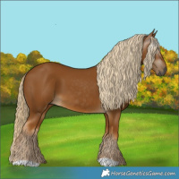 Horse Color:Gray Palomino 