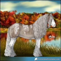 Horse Color:Powder White Silver Grullo Splash Brindle