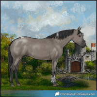Horse Color:Grullo Tobiano 
