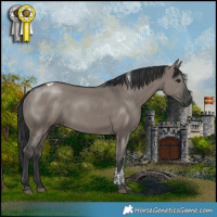 Horse Color:Grullo Tobiano
