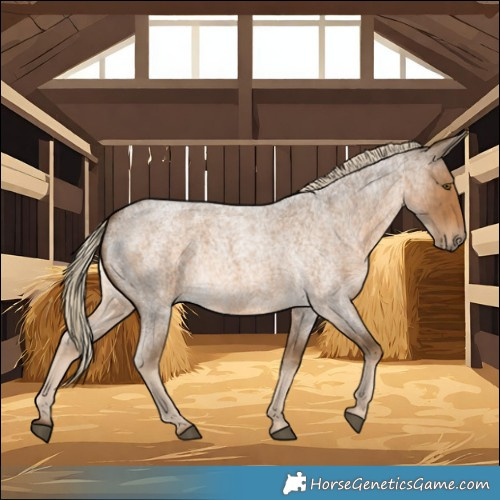 Horse Color:Chocolate Palomino Roan 