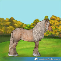 Horse Color:Chocolate Palomino Roan 