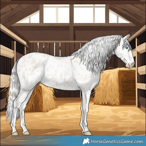 Horse Color:Cremello Leopard 