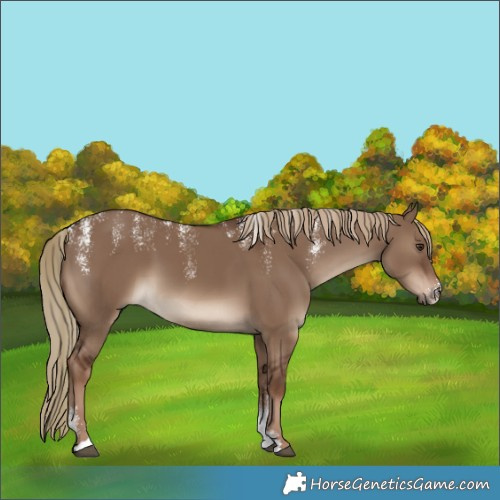Horse Color:Powder White Liver Red Dun 
