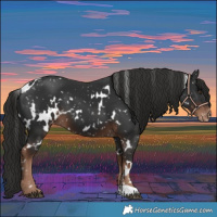 Horse Color:White Spotted Liver Chestnut Snowflake Varnish