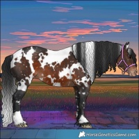 Horse Color:White Spotted Brown Snowflake Varnish