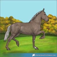 Horse Color:Silver Black 